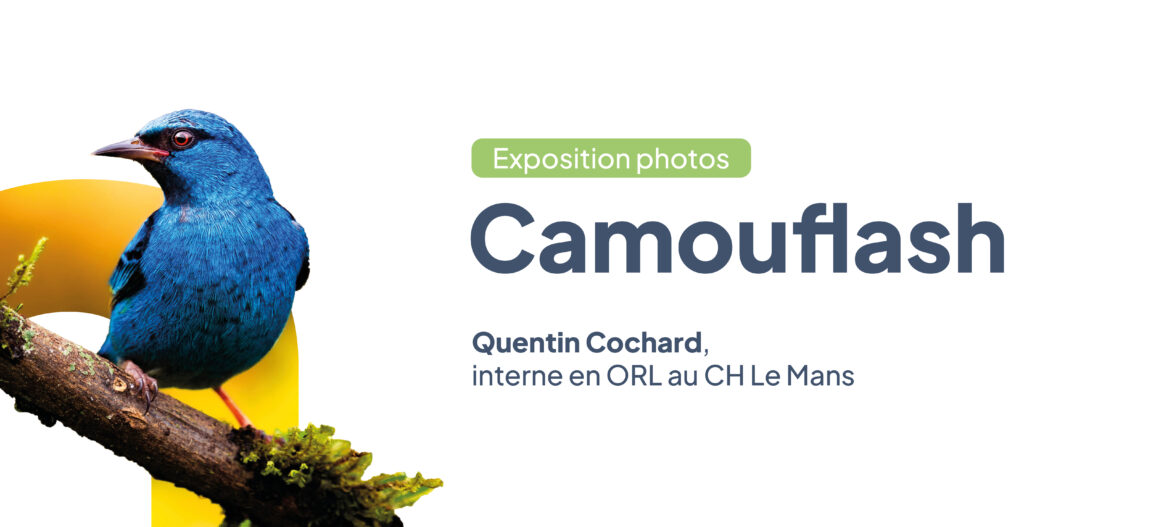 Vernissage exposition « Camouflash »