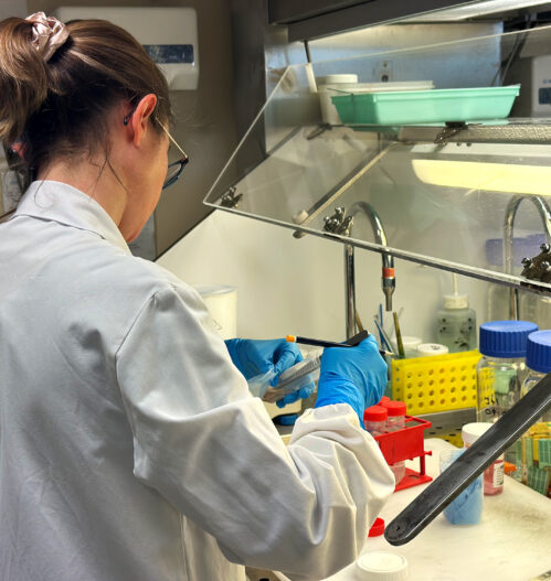 Innovation : un virage numérique au CH Le Mans et au CHU d&rsquo;Angers