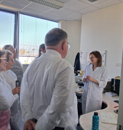 Innovation : un virage numérique au CH Le Mans et au CHU d&rsquo;Angers