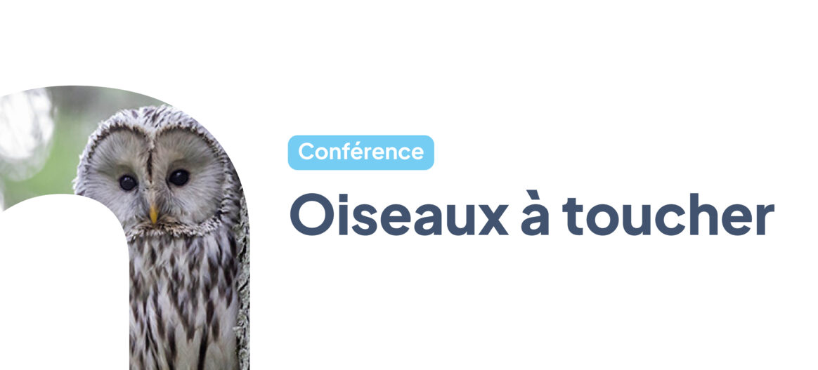 Conférence inspirante | Oiseaux à toucher