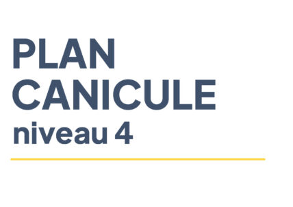 Plan canicule | Niveau 4 activé