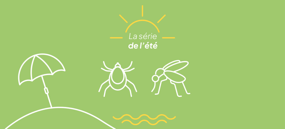 Série de l&rsquo;été | Piqûres de moustiques et de tiques