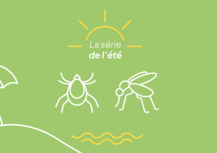 Série de l&rsquo;été | Piqûres de moustiques et de tiques
